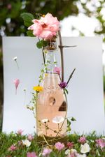 Tosti1820-Prosecco-Rose-12