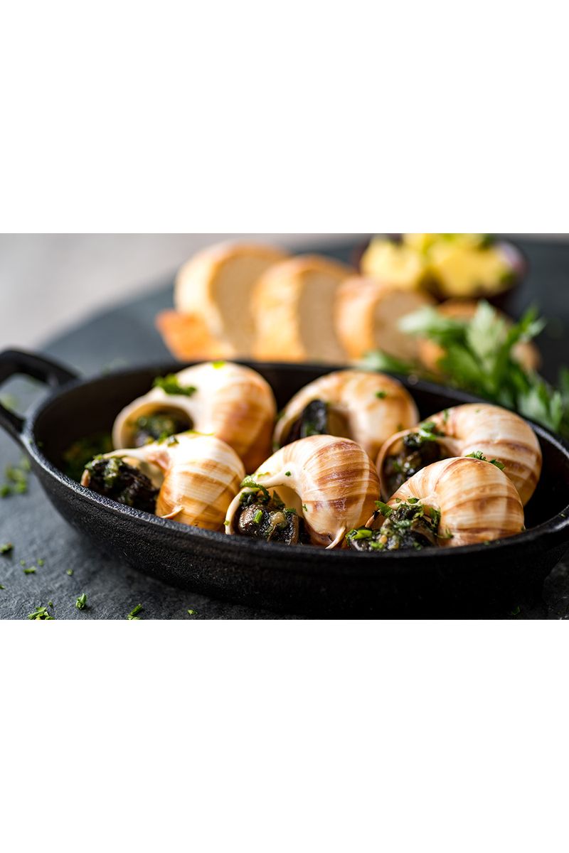 Escargot---Peron-JANEIRO-2020---IMGP9810