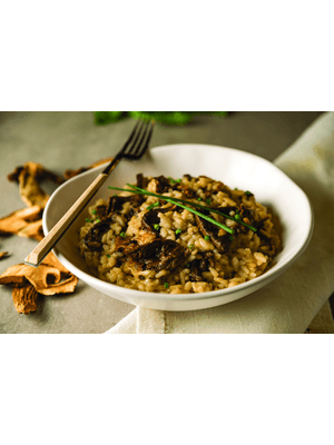 Receita de Risoto de Funghi Porcini