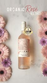 Post-Adobe-Rose-Gold-Medal-CMB_Storie
