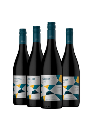 Kit 4 Andeluna Piedemonte Red Blend