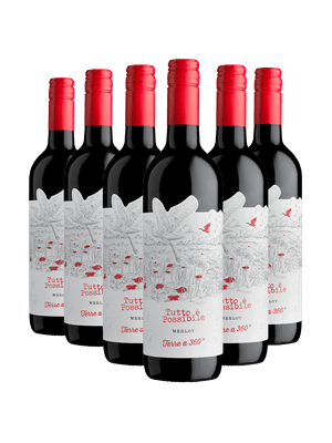 Kit 6 Tutto È Possibile Merlot Rubicone