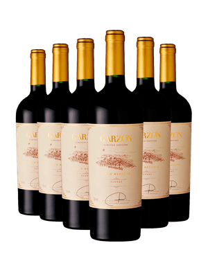 Kit 6 Garzón Gran Reserva Tannat