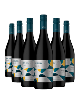Kit 6 Andeluna Piedemonte Red Blend