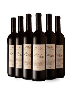 Kit 6 Il Palagio Message In a Bottle Sangiovese Toscana IGT