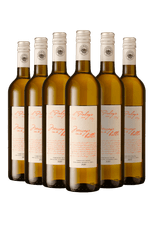 025978 - kit 6 Il Palagio Message In a Bottle Vermentino Toscana IGT