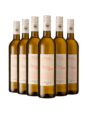 Kit 6 Il Palagio Message In a Bottle Vermentino Toscana IGT